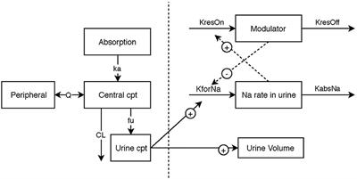 Population Pharmacokinetics and Pharmacodynamics Modeling of Torasemide and Furosemide After Oral Repeated Administration in Healthy Dogs